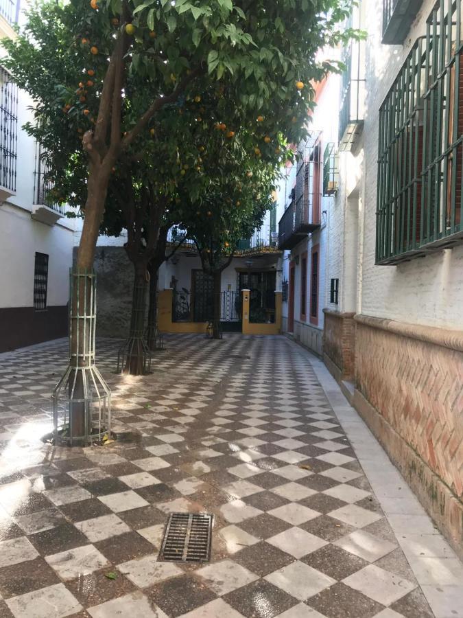 Flamenco * Sevilla