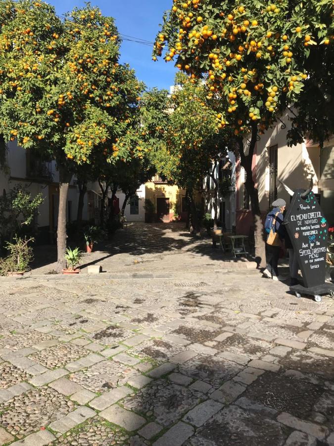 Bed and breakfast Flamenco Sevilla