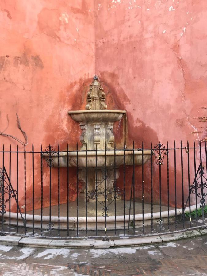 Flamenco Bed and breakfast *
