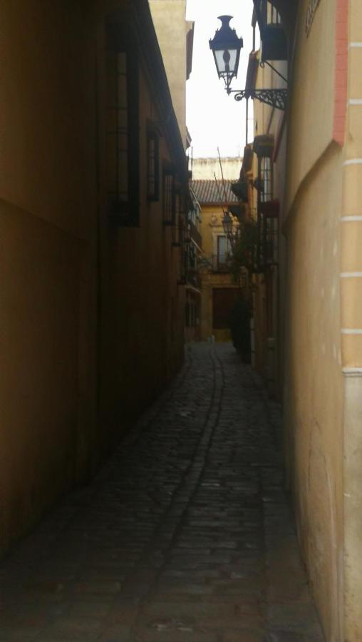 Bed and breakfast Flamenco