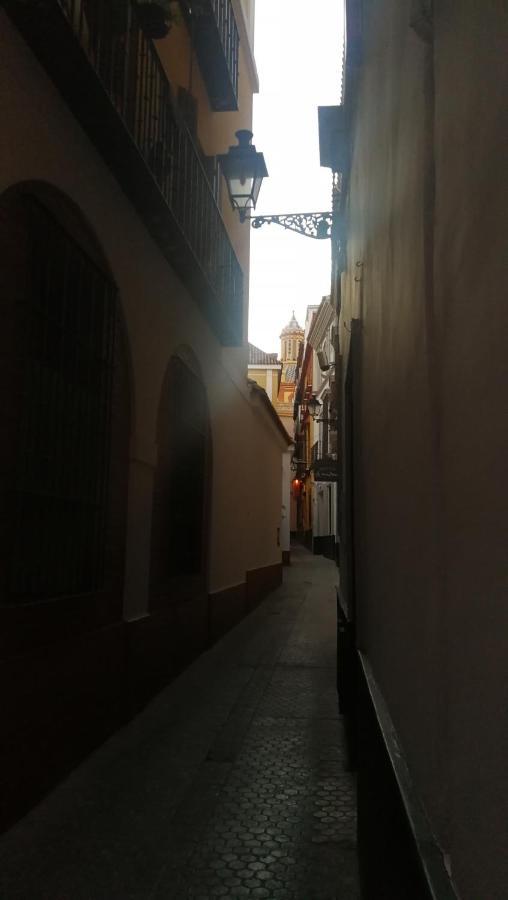 Flamenco Sevilla