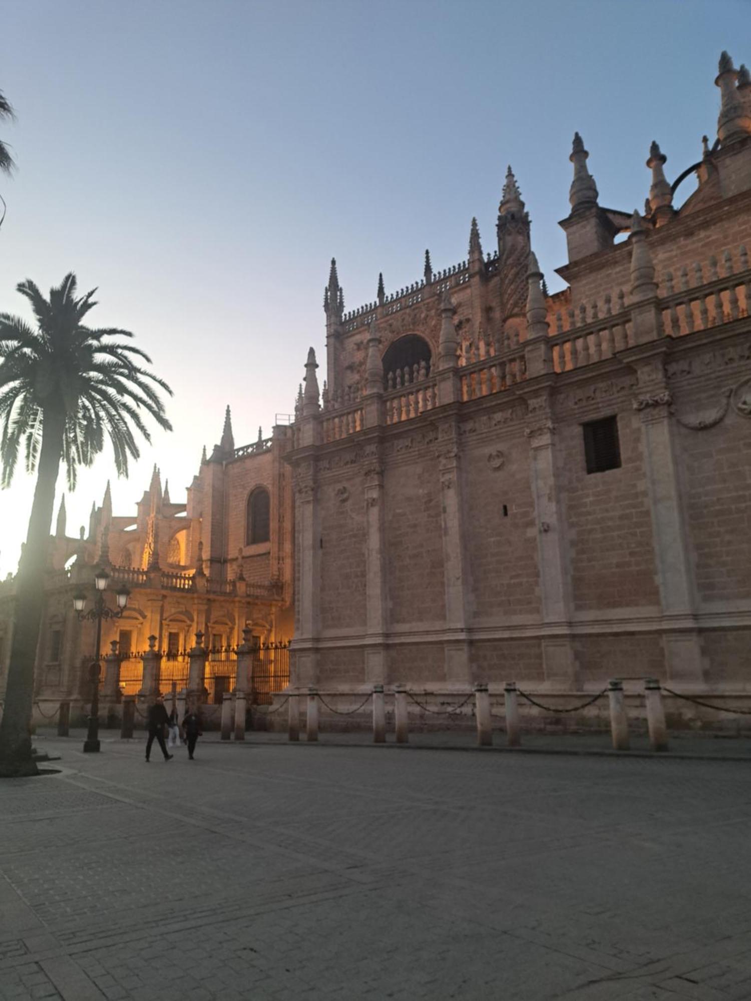Flamenco Sevilla