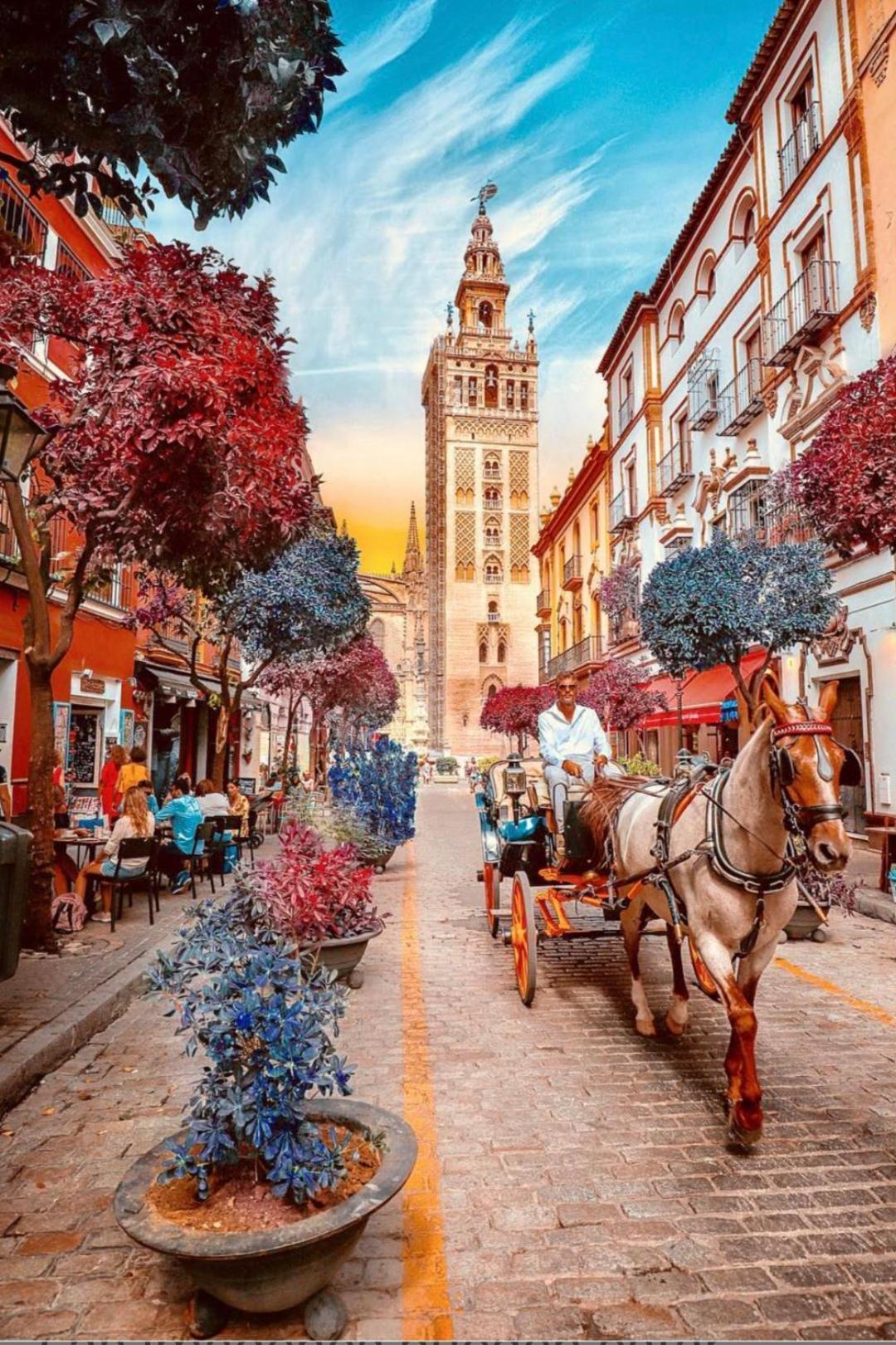 Flamenco Couette-café Séville